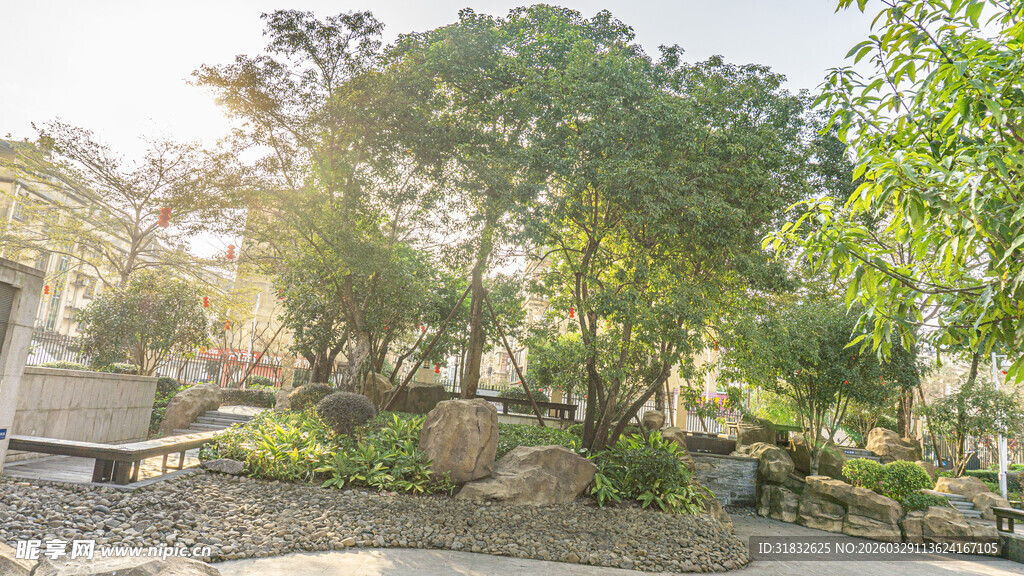 阳光洒落的静谧庭院角落