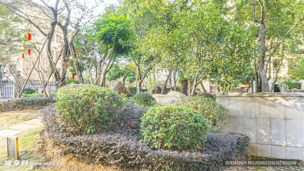 城市中的绿意景观