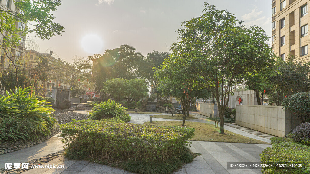 阳光照耀下的静谧小区景观