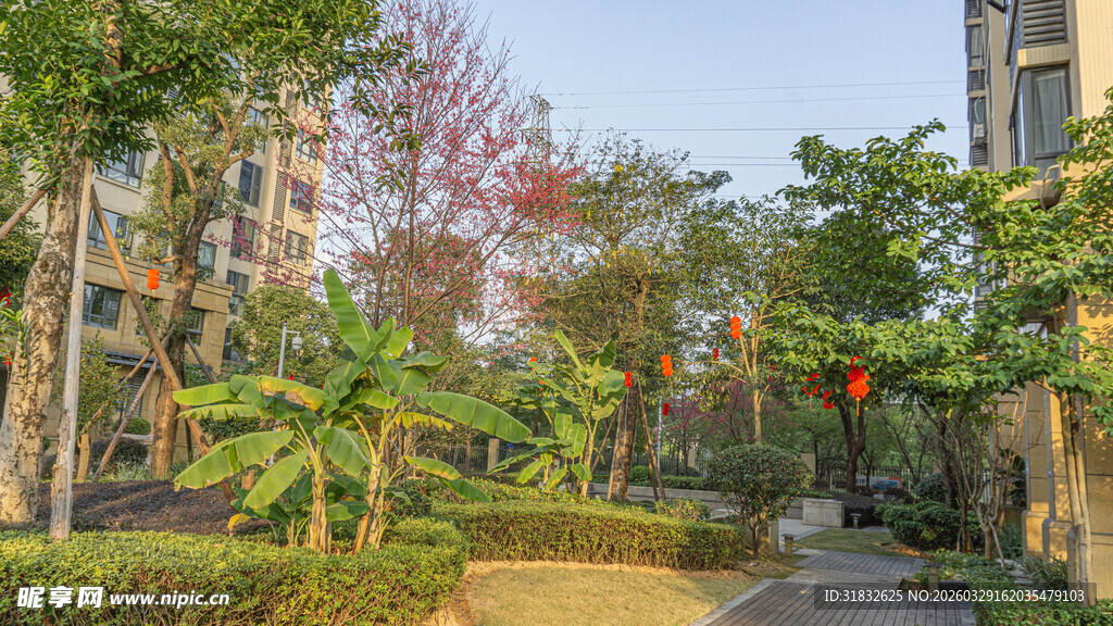 小区内的静谧绿化景观