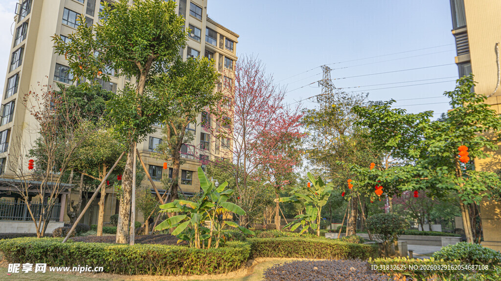 小区内的优美绿化景观