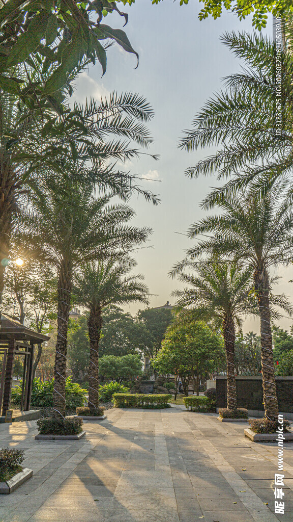 热带风情庭院景观