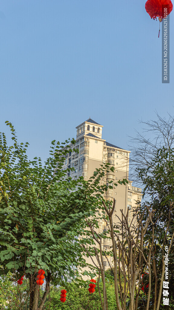 高楼旁的绿植与红色装饰