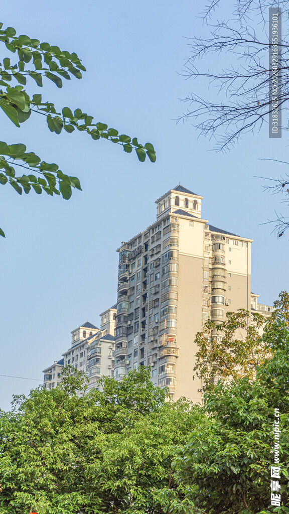 绿树掩映下的宏伟建筑