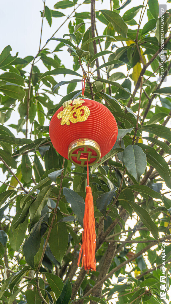 树上挂的喜庆红灯笼