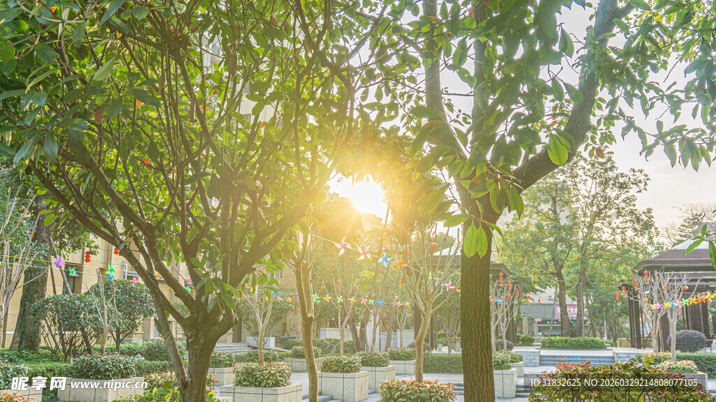 阳光洒落的静谧林荫公园