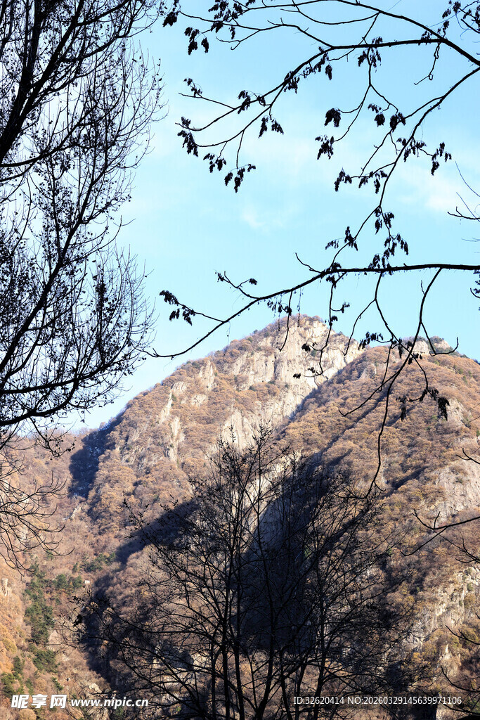 秋日山林中的连绵山脉