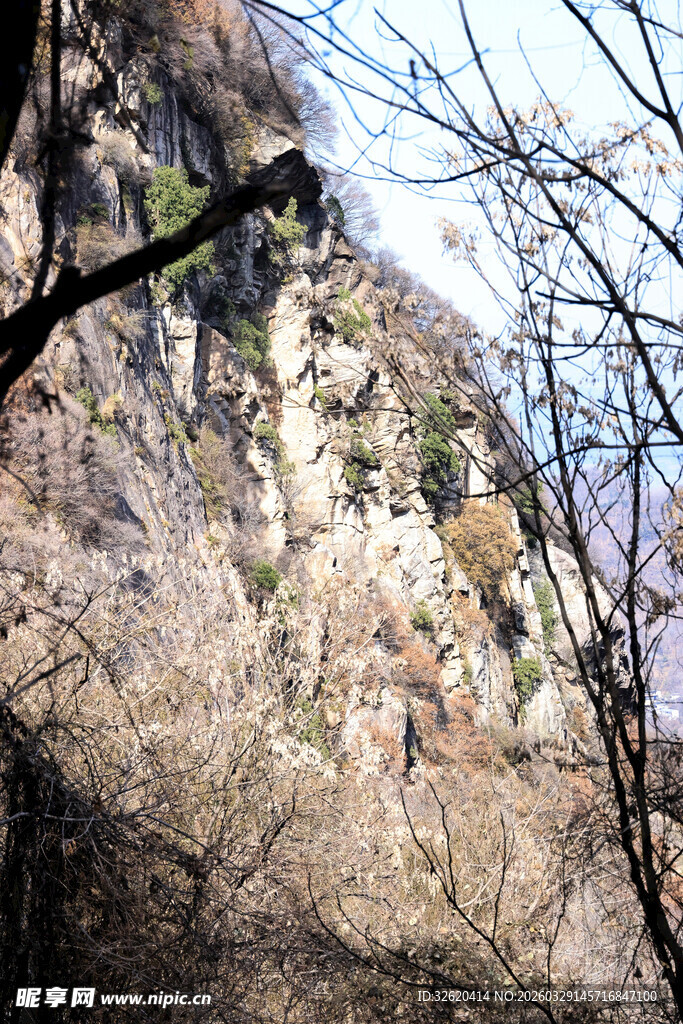 山间岩壁与稀疏树木景观
