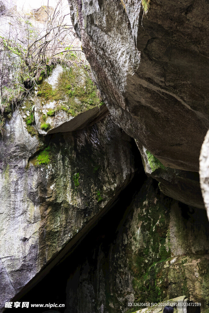 岩石缝隙间的自然景致