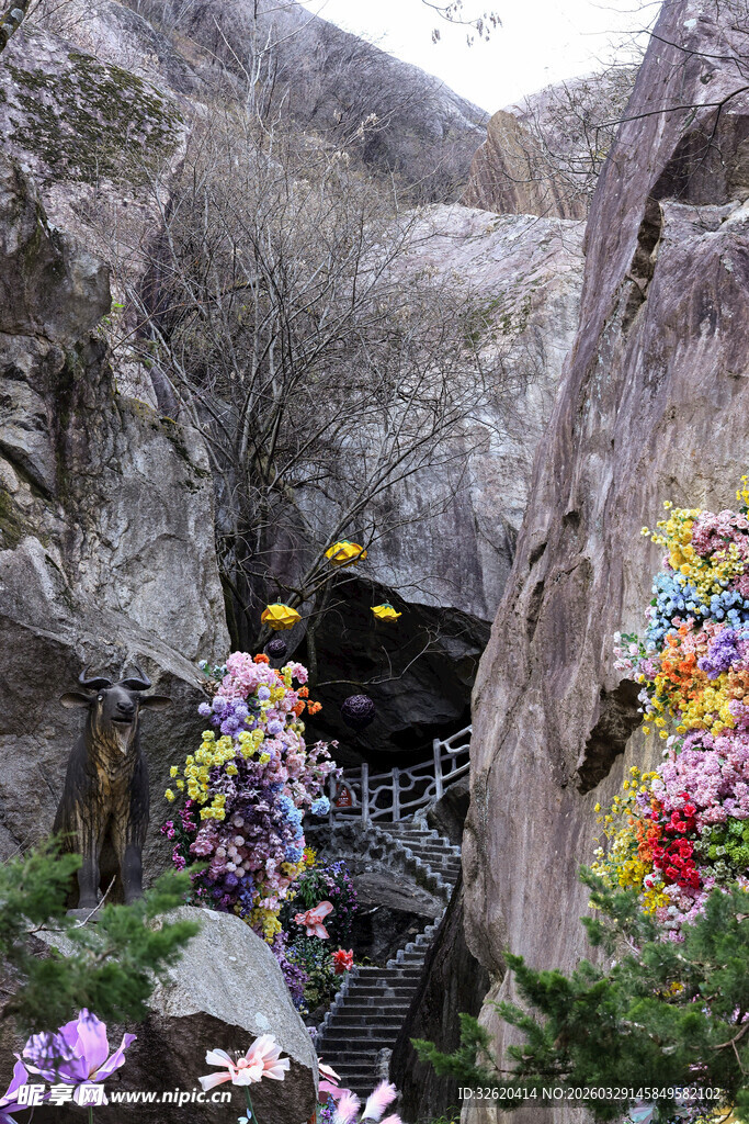 洞穴中的多彩花卉景观