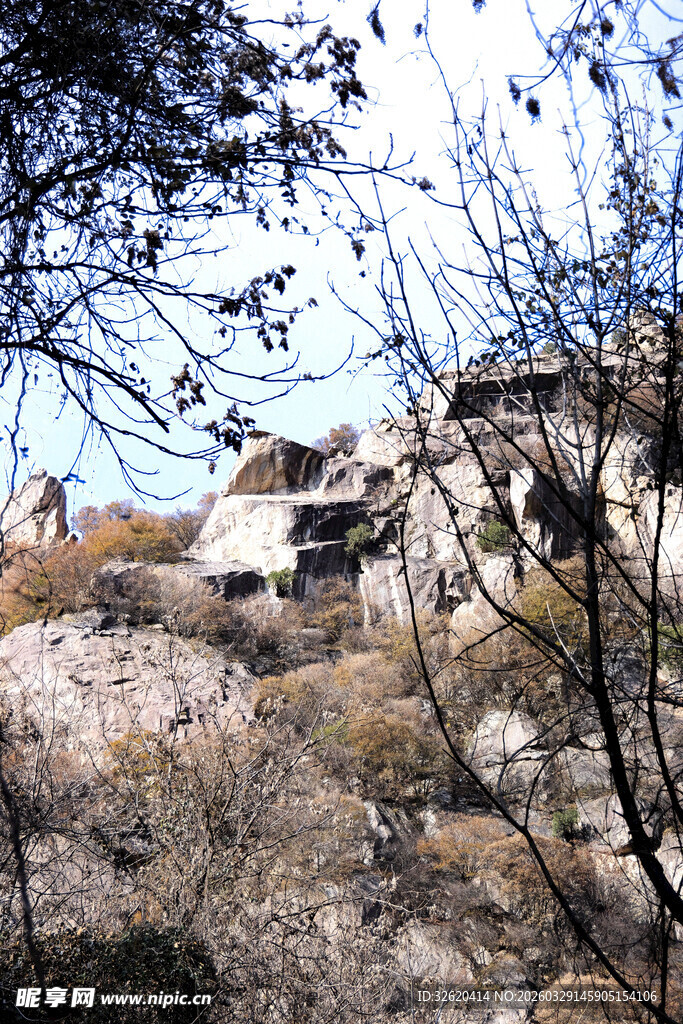 山间岩石与稀疏树木景观