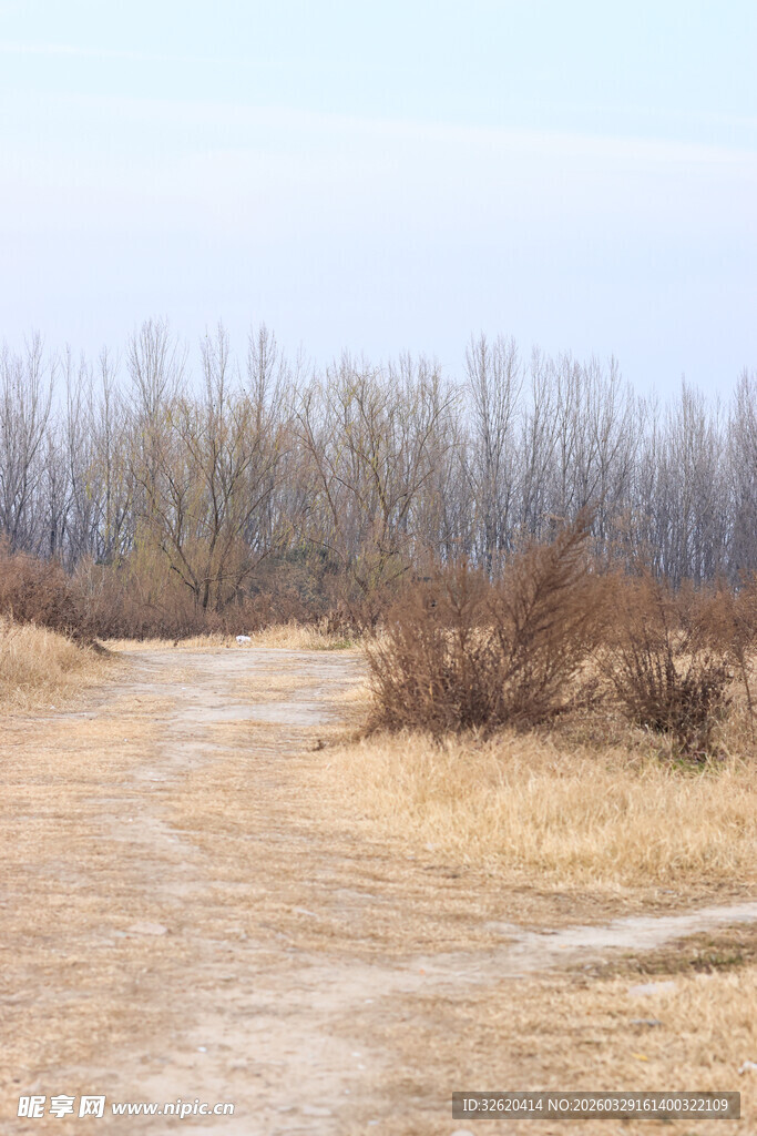 冬日荒野中的蜿蜒小路