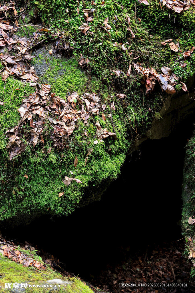 青苔覆盖的岩石洞穴入口