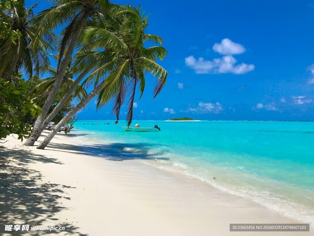 美丽热带海滩棕榈树海景