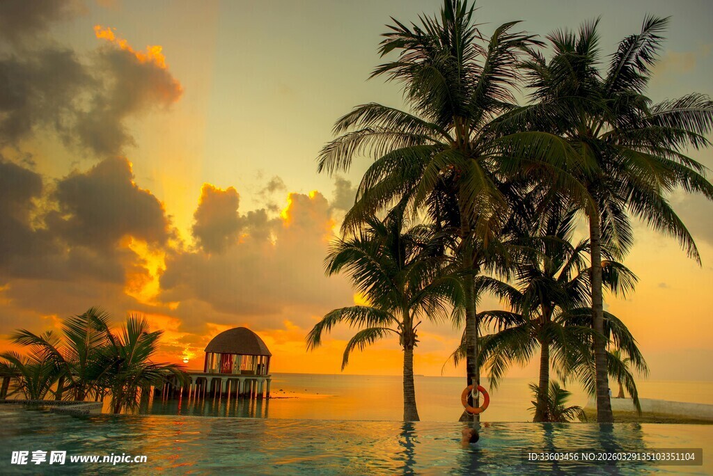 夕阳下的海岛椰林美景