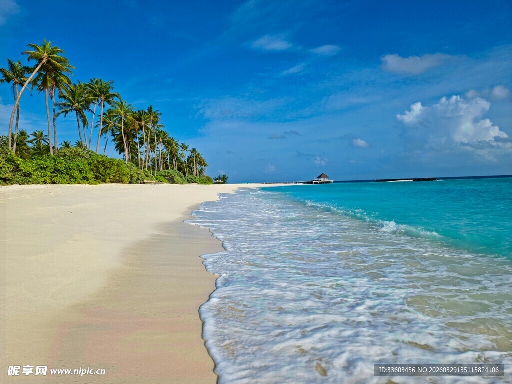 美丽海滨沙滩风光