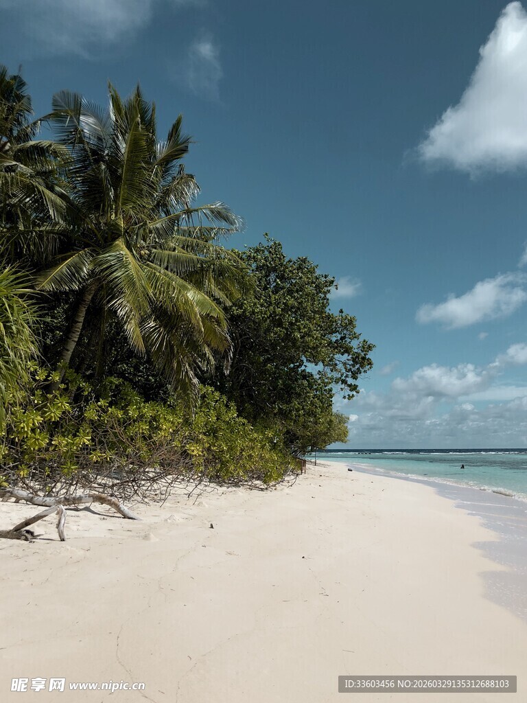 美丽热带海滩风光