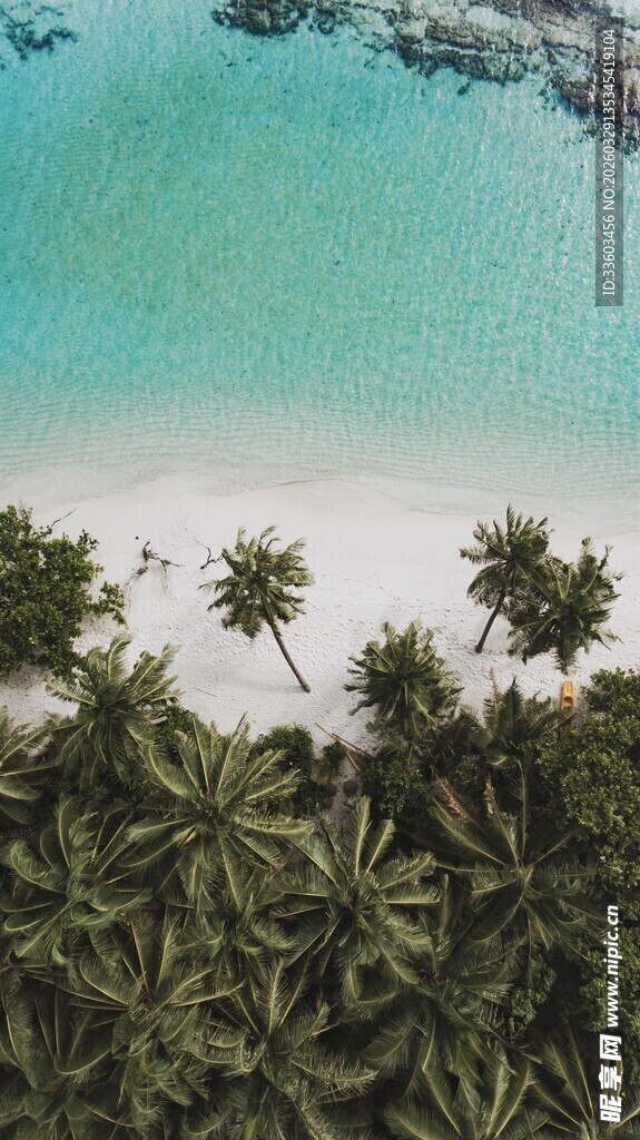 俯瞰热带海滩与椰林