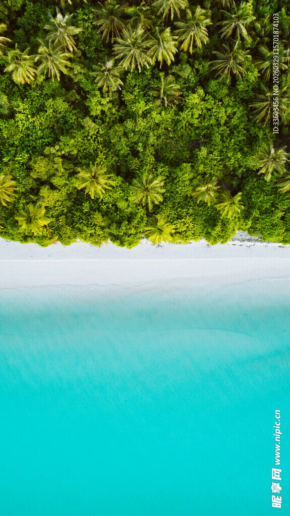 翠绿丛林下的澄澈蓝水