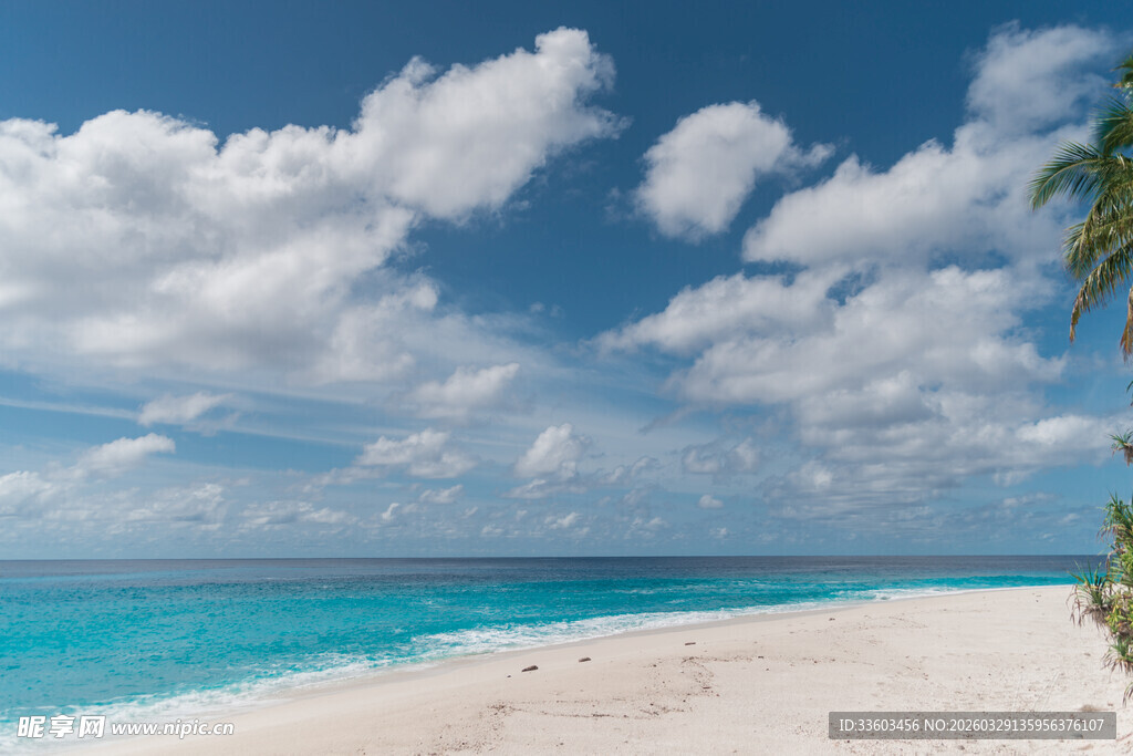 美丽热带海滩风光