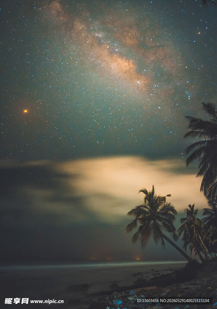 星空下的海滩与棕榈树