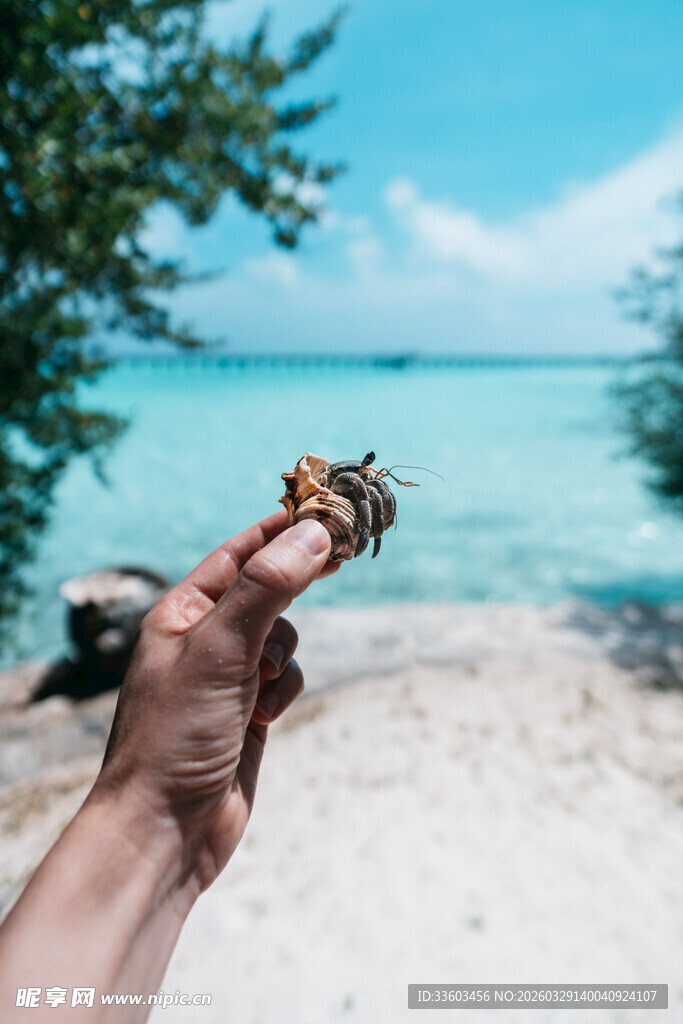 手托螃蟹于美丽海滨