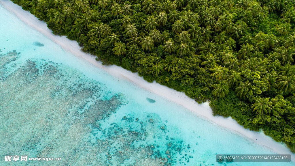 海岛葱郁植被与碧蓝海水