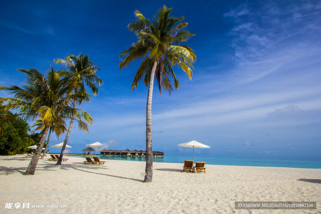 热带海滨沙滩度假美景