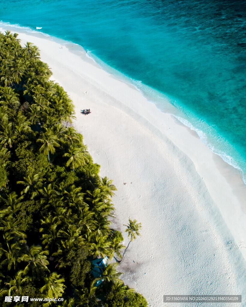 美丽白沙海滩与葱郁植被