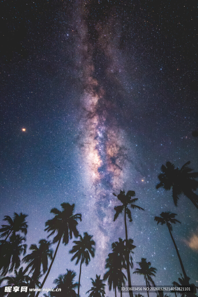椰林之上的璀璨星空