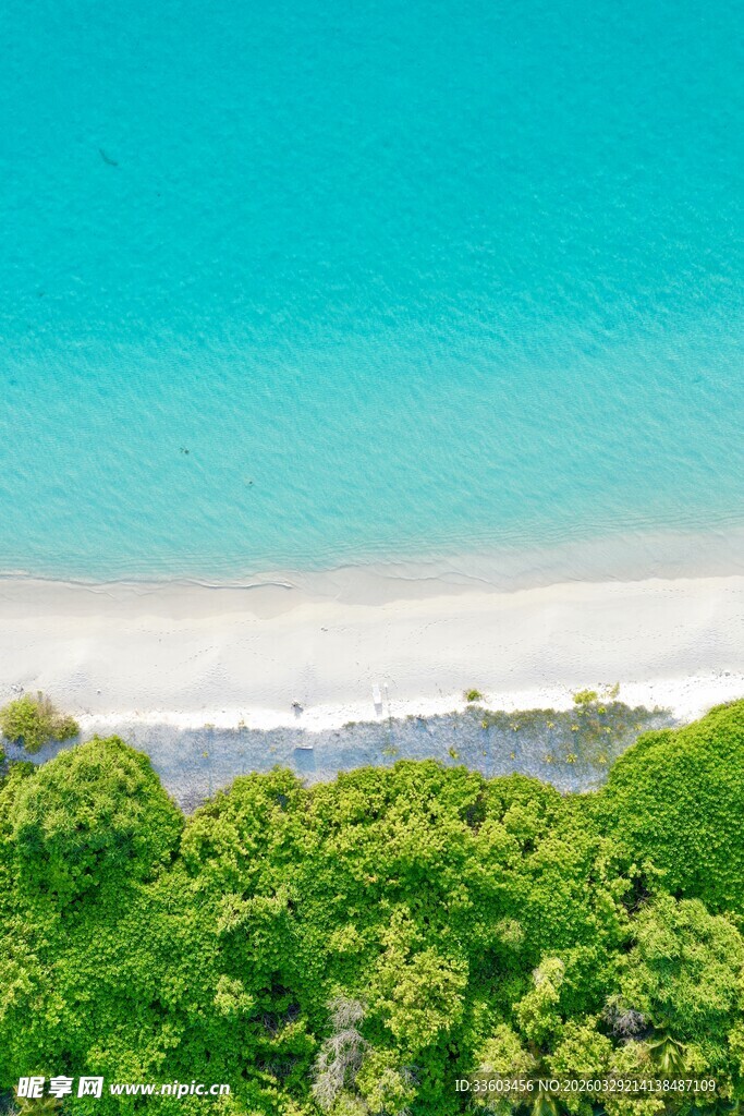 碧海绿树间的美丽景致