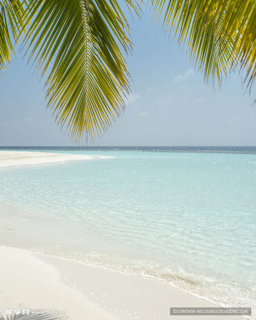 美丽热带海滩风光