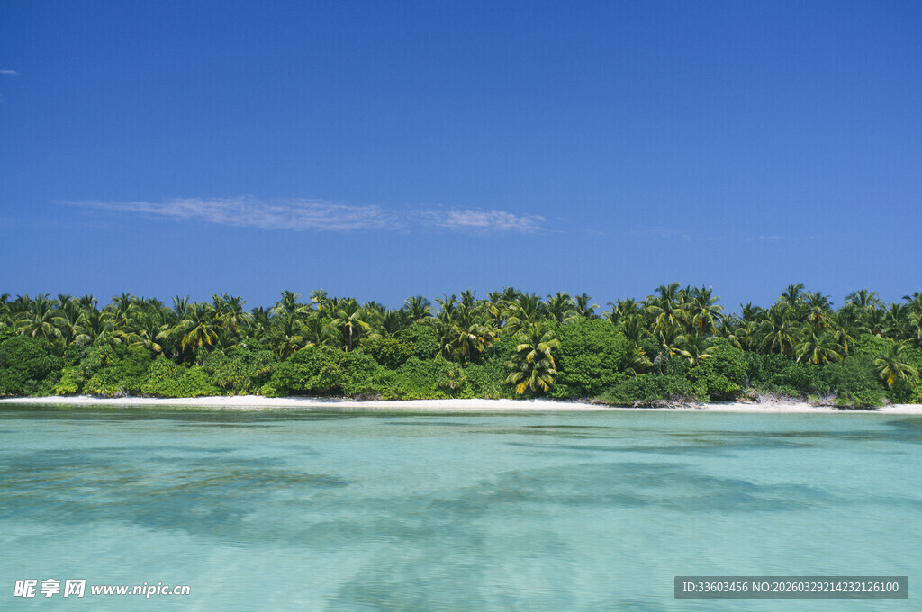 热带海岛清澈海水与绿树