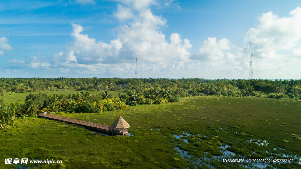 广袤绿野中的独特建筑