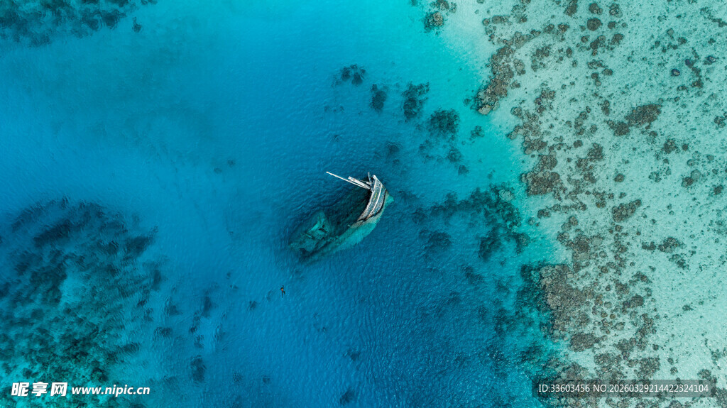 海底潜水者畅游多彩珊瑚间