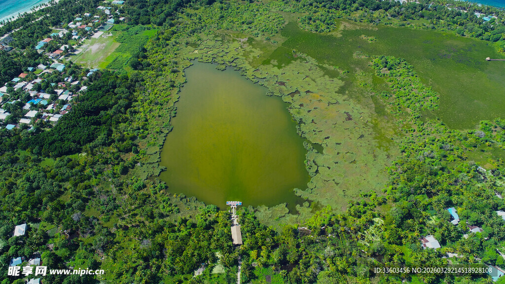 俯瞰翠绿湿地景观