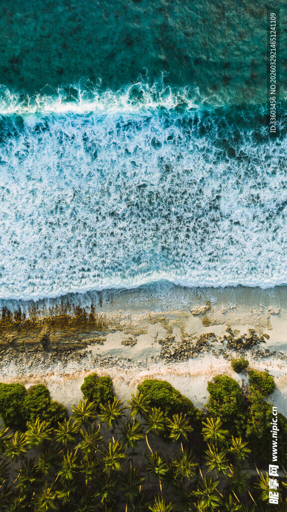 俯瞰碧海沙滩绿树美景