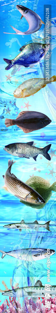 海鱼图