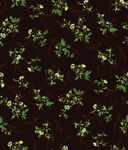 深底绿叶花卉图案纹理