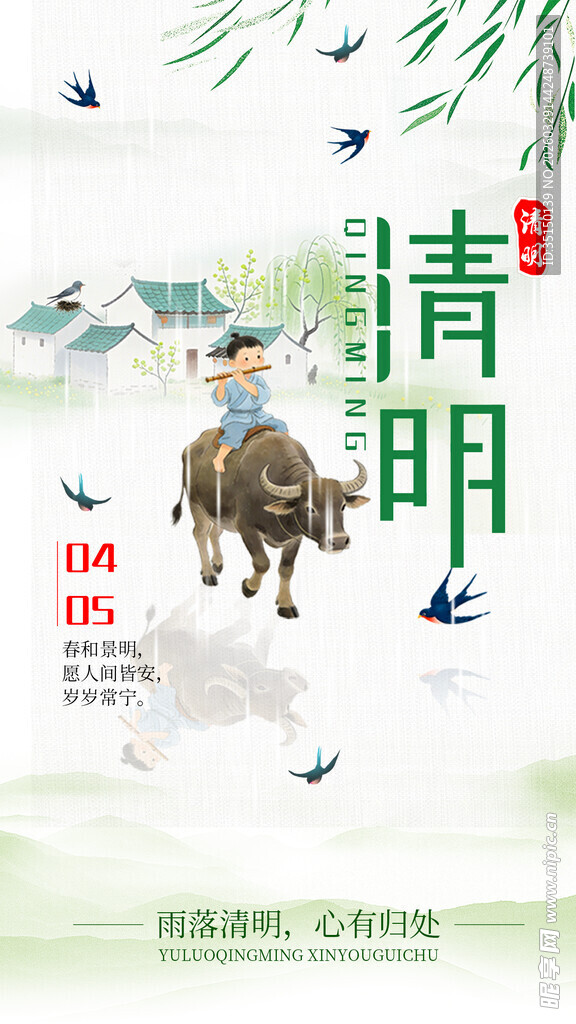 清明时节乡村牧牛图景 