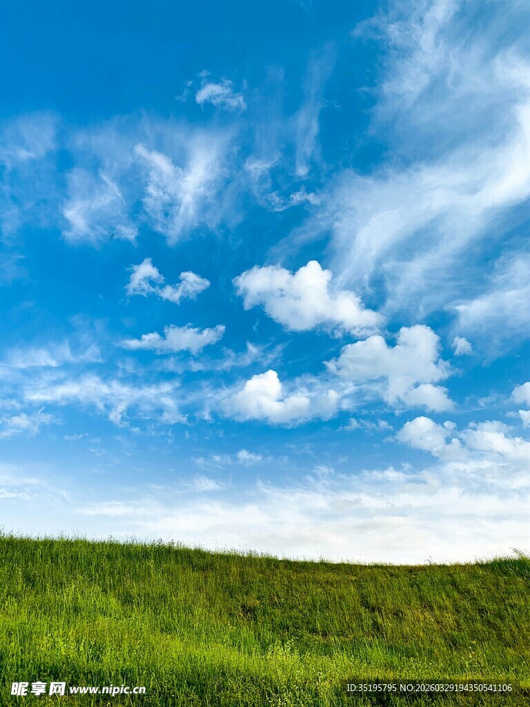 蓝天白云下的翠绿草地