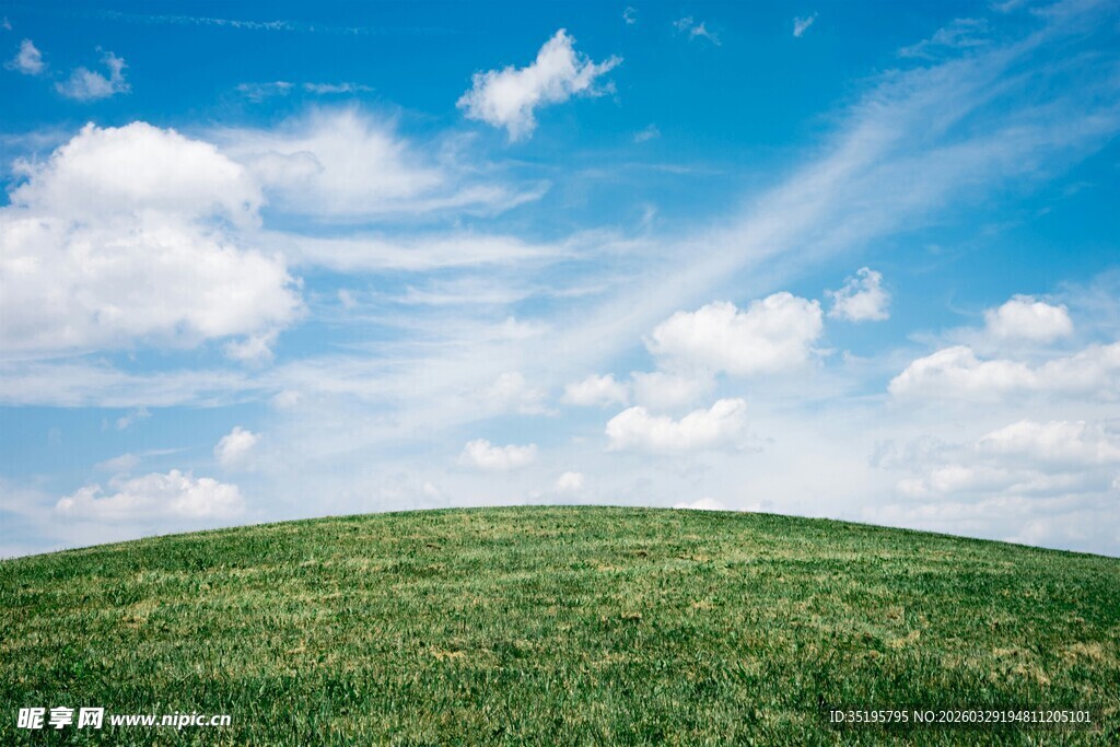 广袤绿野上的蓝天白云