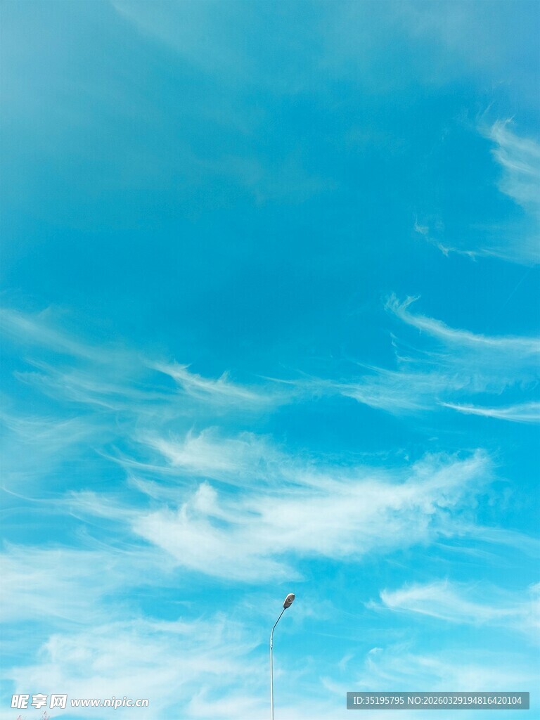 蓝天飞鸟纯净天际美景