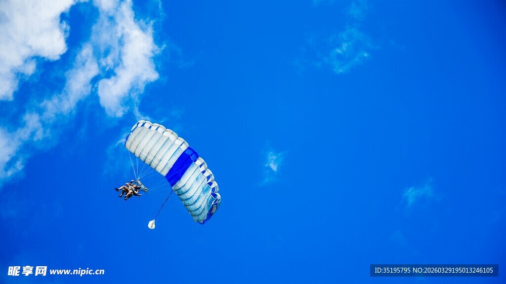 深海中的神秘漂浮物