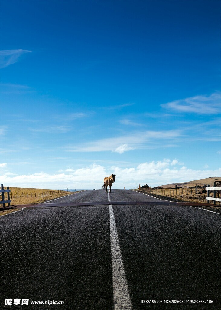 公路上的孤独骑行者