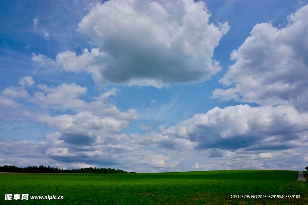 广袤绿野上的蓝天白云