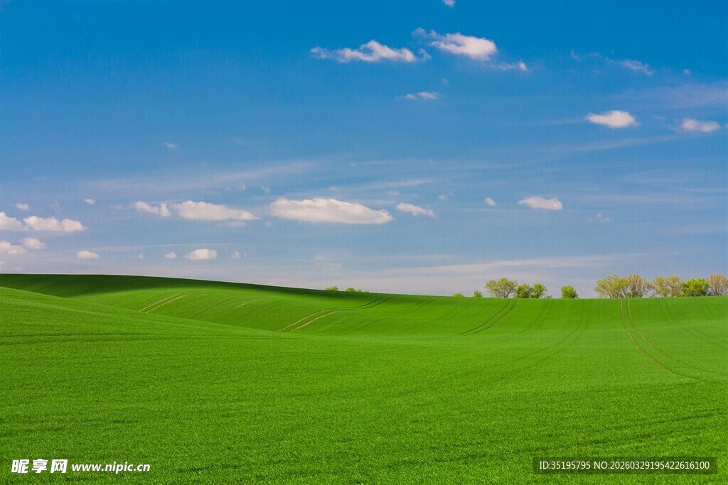 广袤绿野蓝天相伴