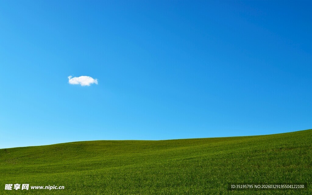 广袤绿原上的蓝天孤云