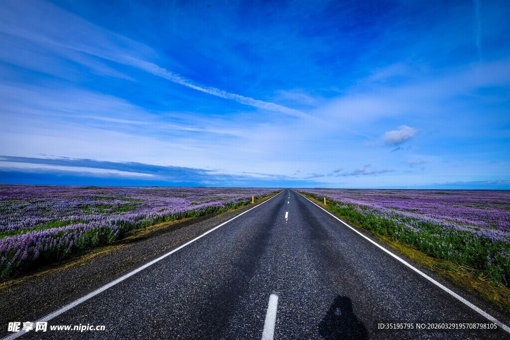 公路伸向花海蓝天