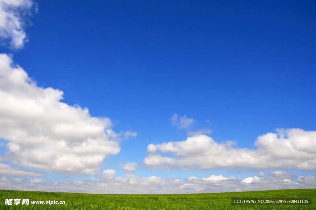 蓝天绿地间的悠然景象
